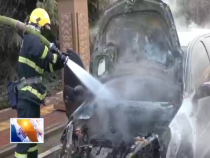 東秦百姓1月15日