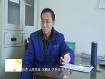 東秦百姓1月17日