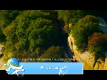 天下旅游1月7日