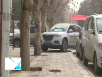 東秦百姓2月23日