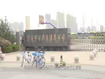 调查3月31日