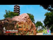 天下旅游3月11日