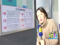 天下旅游3月8日