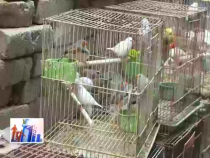 东秦百姓3月25日