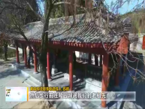 东秦百姓4月3日