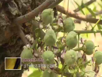 东秦百姓4月13日