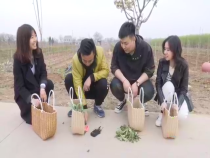 天下旅游4月10日