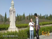 走进渭南5月15日