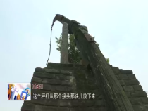 东秦百姓6月27日