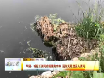 华阴：城区长涧河内现黑臭水体 疑似无处理流入渭河