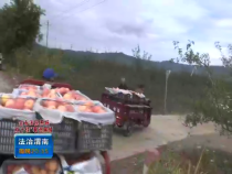 法治渭南11月25日