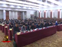 渭南先鋒11月11日