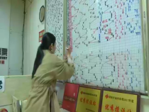 福彩零距离11月13日