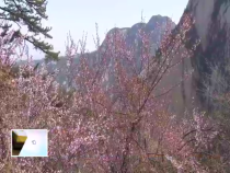 东秦百姓11月2日