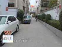 东秦百姓11月28日