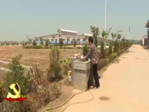 渭南先鋒11月25日