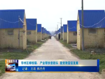 今朝看華州11月27日