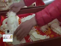 东秦百姓12月26日