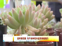 东秦百姓1月2日