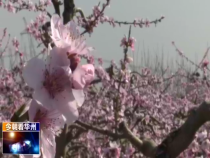 今朝看华州3月25日