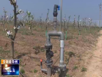 今朝看華州4月8日