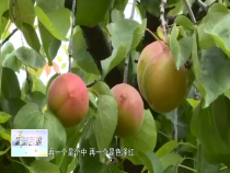 东秦百姓5月21日