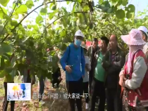 东秦百姓5月13日