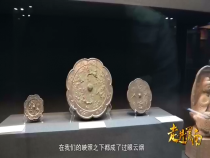 走进渭南5月8日