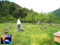 今朝看华州6月24日