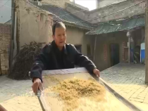 东秦百姓6月23日