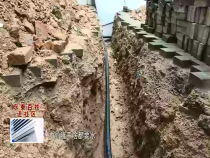 东秦百姓6月10日