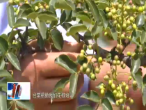 东秦百姓6月23日
