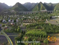走进渭南6月26日
