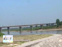 东秦百姓6月5日