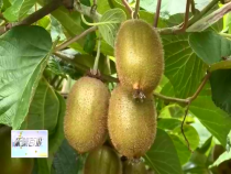 东秦百姓7月28日