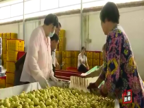 法治渭南8月21日