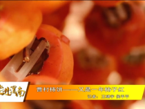 走进渭南11月20日
