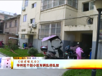 东秦百姓11月27日