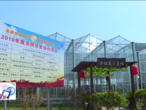 东秦百姓11月5日