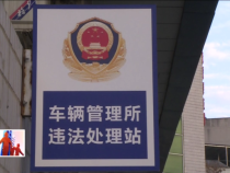 东秦百姓11月20日