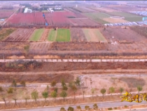 走進(jìn)渭南12月11日