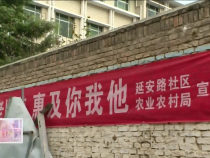 东秦百姓12月14日