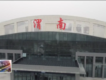 东秦百姓1月25日
