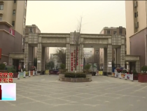 东秦百姓1月26日