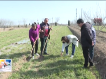 東秦百姓2月25日