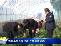 直通縣市3月10日