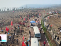 東秦百姓3月13日