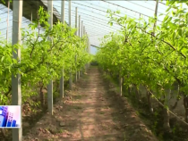 東秦百姓3月30日