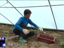 今朝看华州3月24日