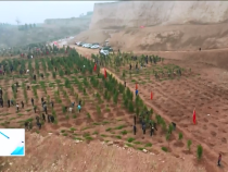 東秦百姓3月12日